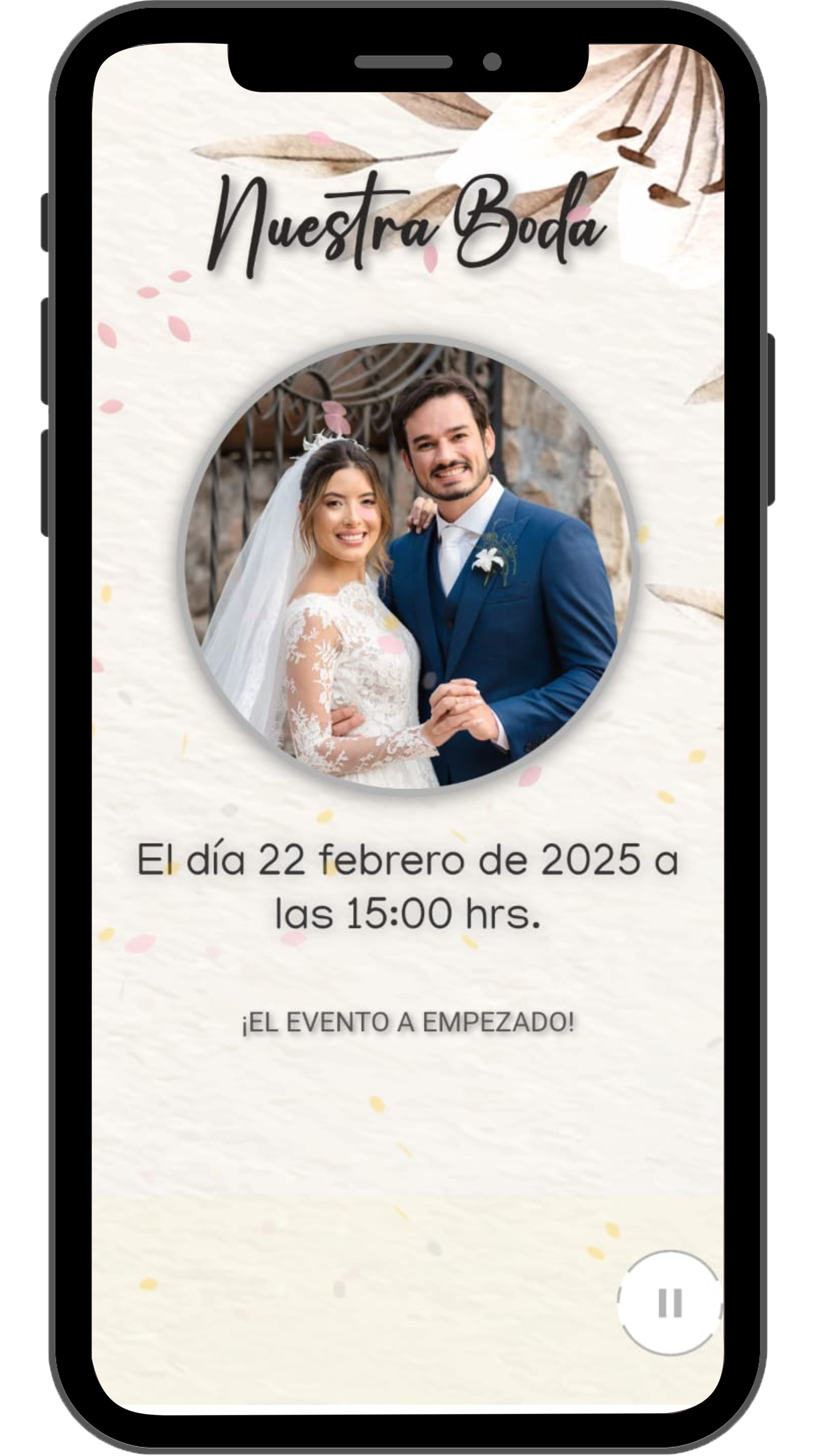 Bodas